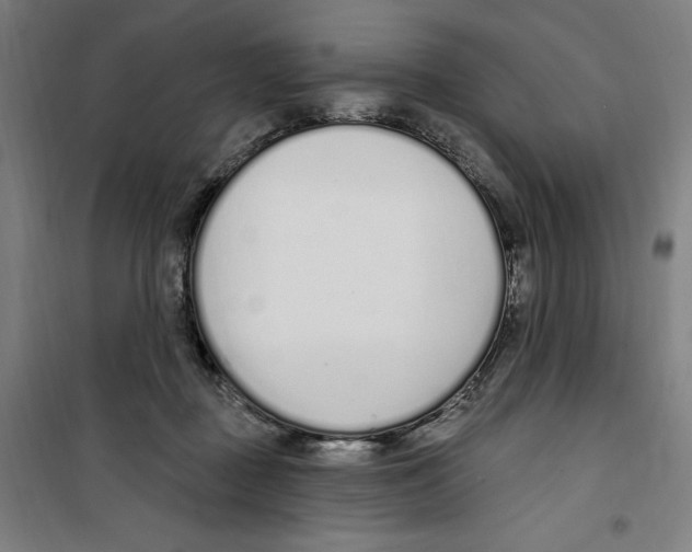 X0000100320363200807031216