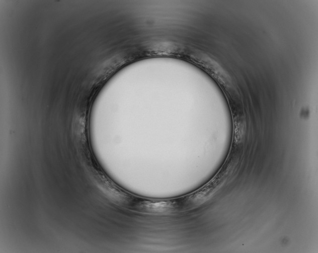 X0000100320365200807031216