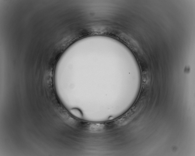 X0000100320369200807031216