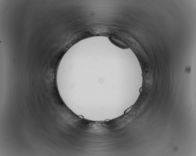 X0000100320372200807031216