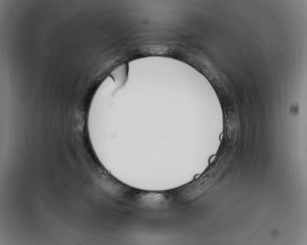 X0000100320374200807031216