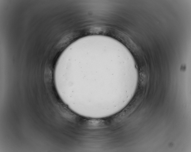 X0000100320375200807031216