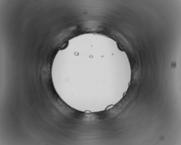 X0000100320376200807031216