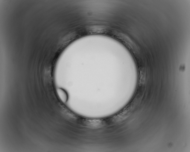 X0000100320377200807031216