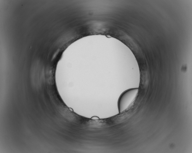 X0000100320378200807031216