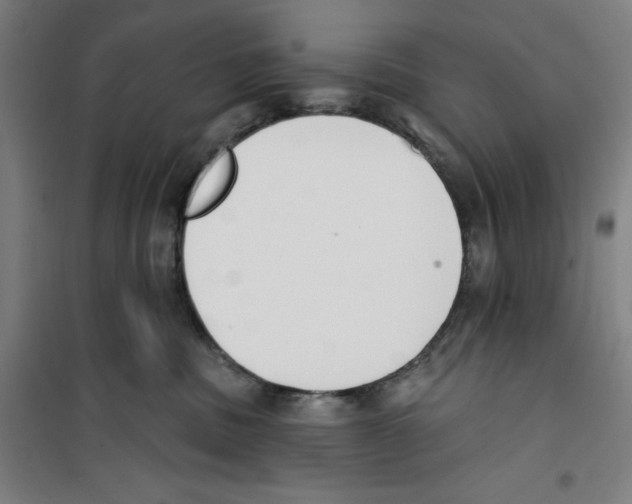 X0000100320379200807031216