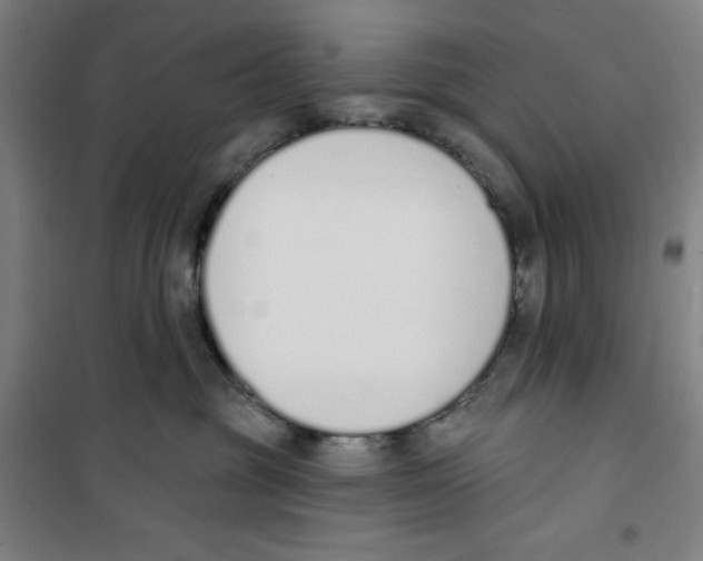 X0000100320381200807031216