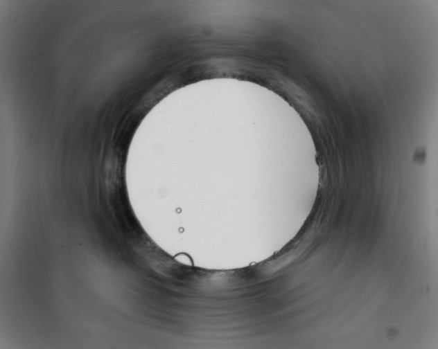 X0000100320382200807031216