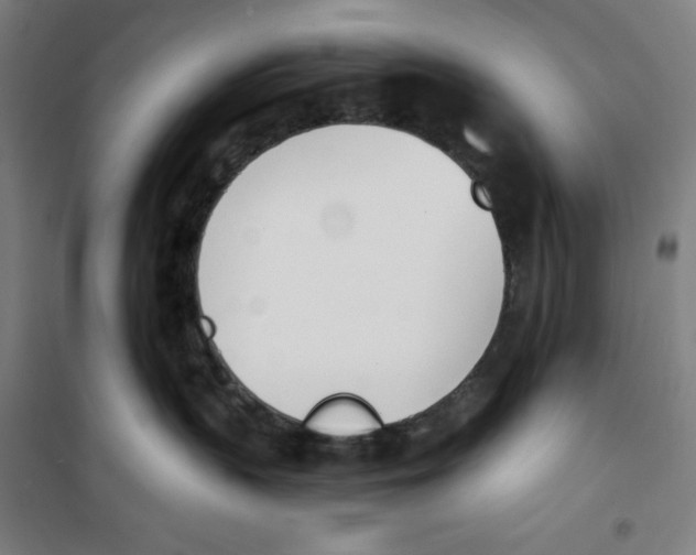 X0000100320383200807031216