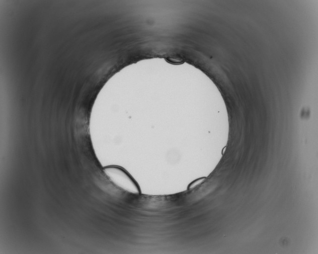 X0000100320384200807031216