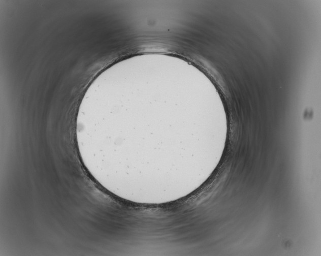 X0000100320385200807031216