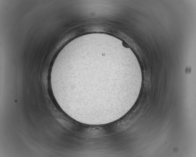 X0000100320386200807031216