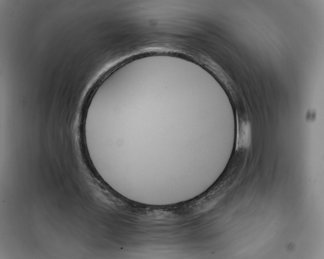 X0000100320387200807031216