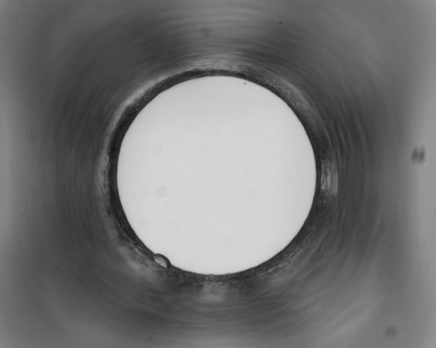 X0000100320388200807031216