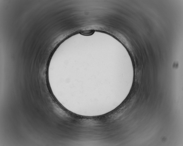 X0000100320389200807031216