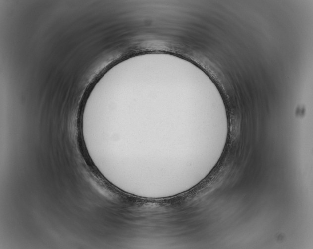 X0000100320390200807031216