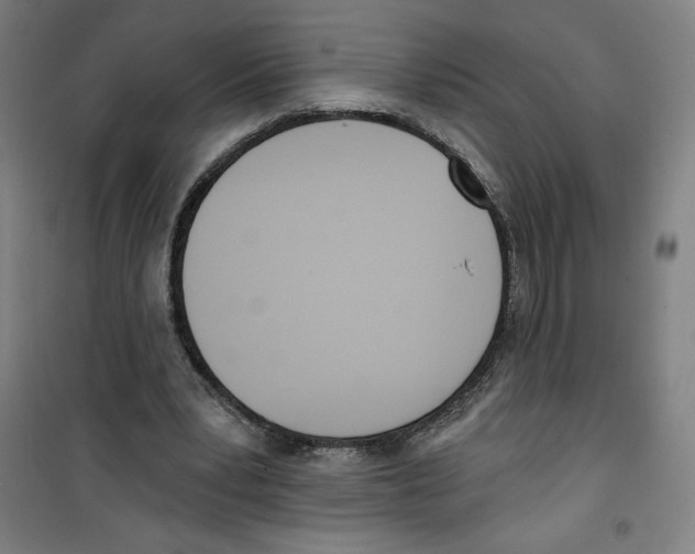 X0000100320391200807031216