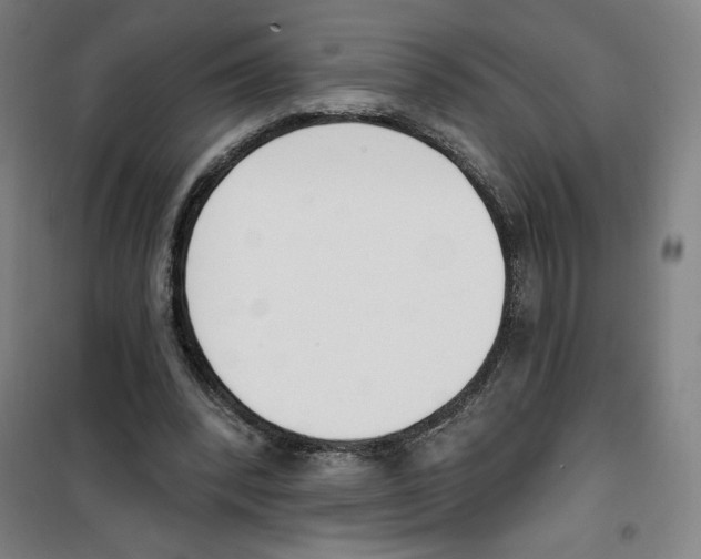 X0000100320392200807031216