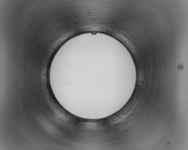 X0000100320394200807031216