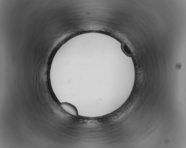 X0000100320395200807031216