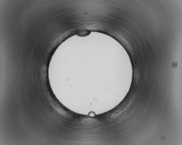 X0000100320397200807031216