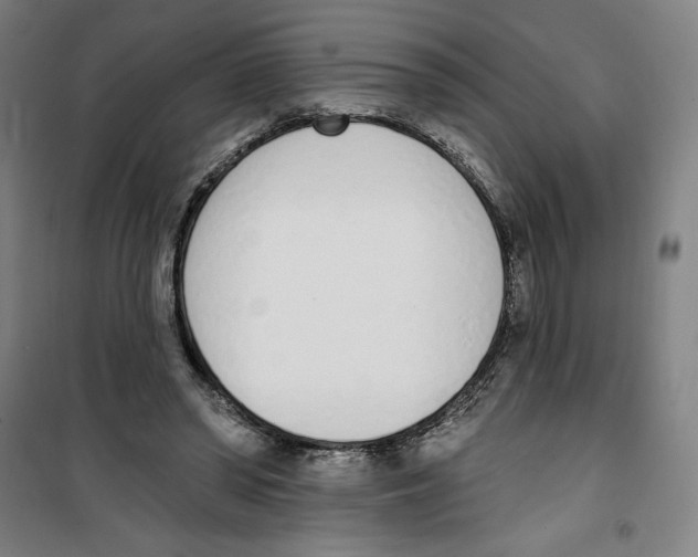 X0000100320398200807031216