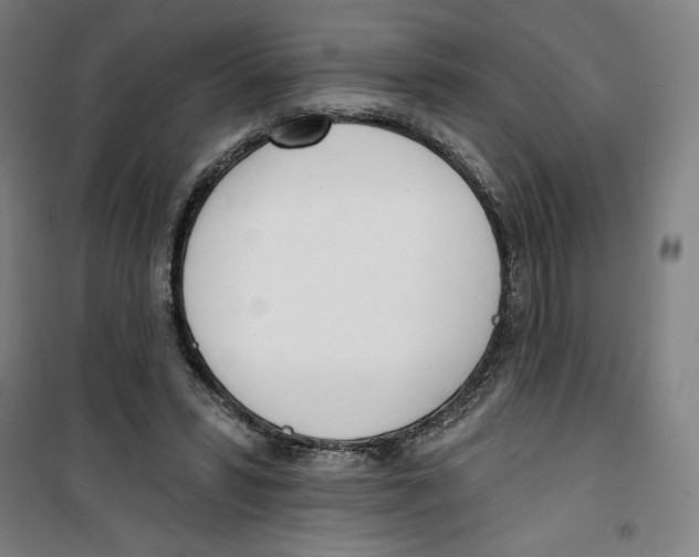 X0000100320399200807031216