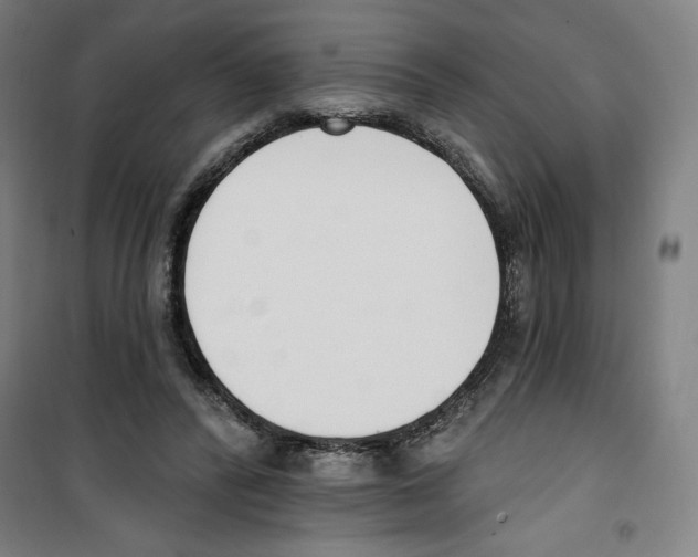 X0000100320400200807031216