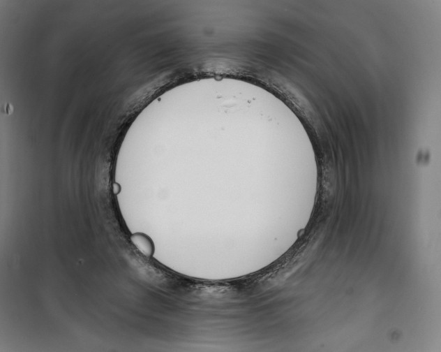 X0000100320401200807031216