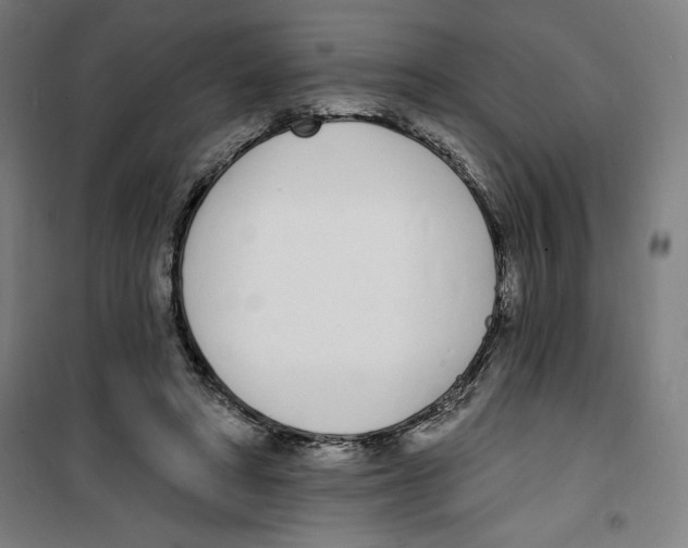 X0000100320402200807031216