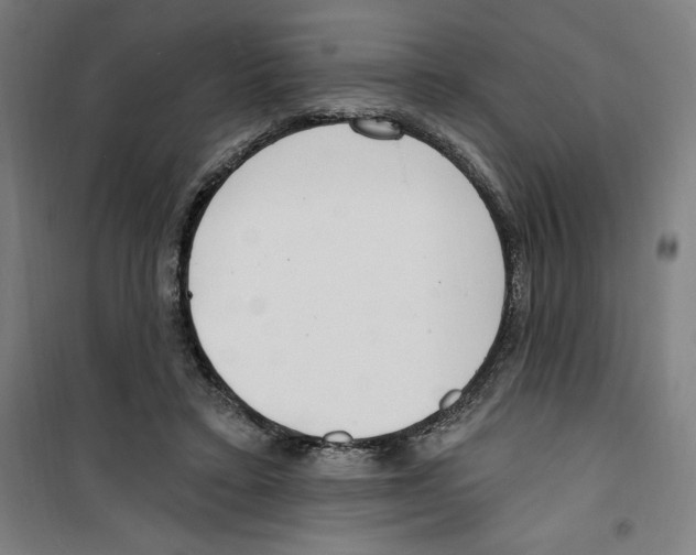 X0000100320403200807031215