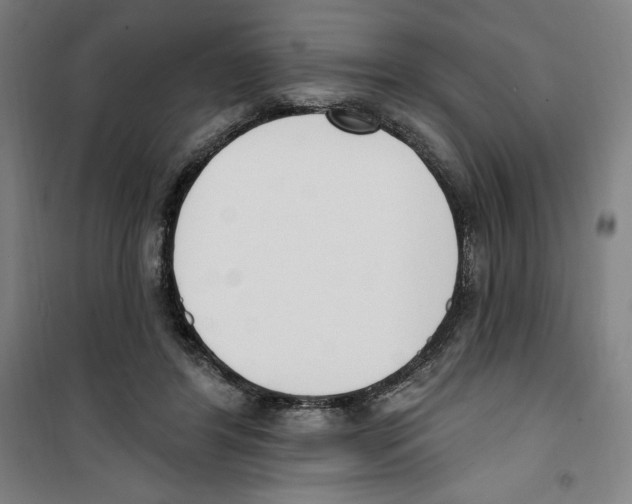 X0000100320404200807031215