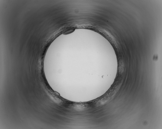 X0000100320405200807031215