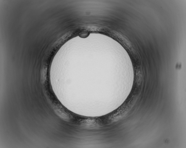 X0000100320406200807031215