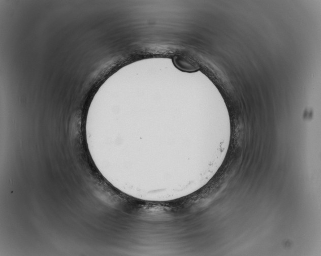 X0000100320407200807031215