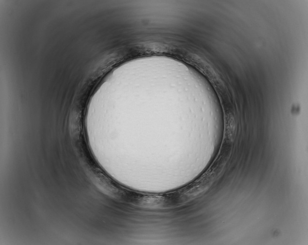 X0000100320410200807031215