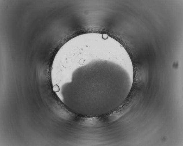 X0000100320411200807031215