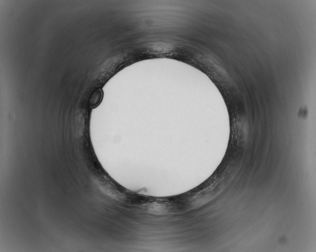 X0000100320412200807031215