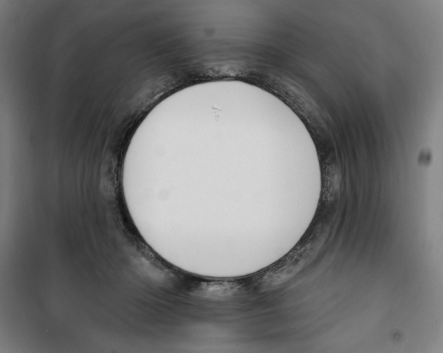 X0000100320414200807031215