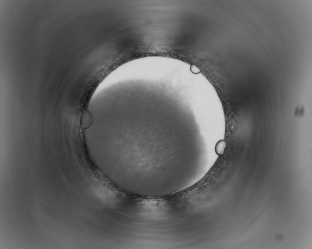 X0000100320415200807031215