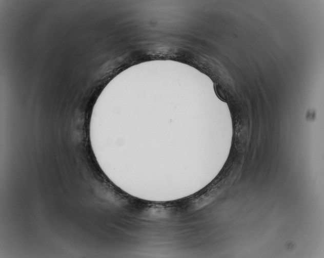 X0000100320416200807031215