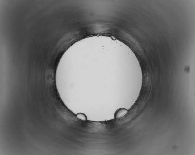 X0000100320421200807031215