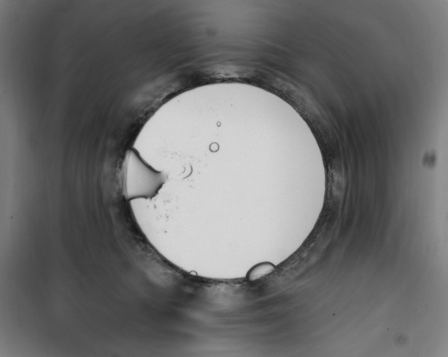 X0000100320422200807031215