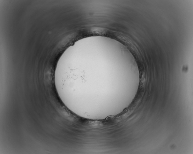 X0000100320424200807031215