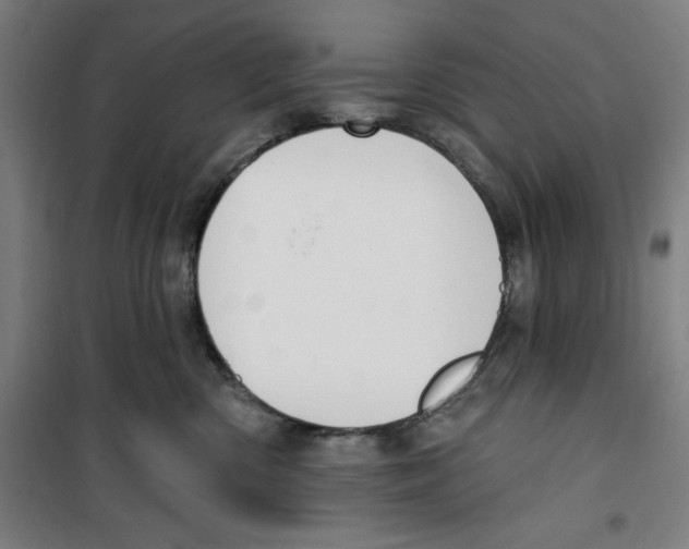 X0000100320426200807031215