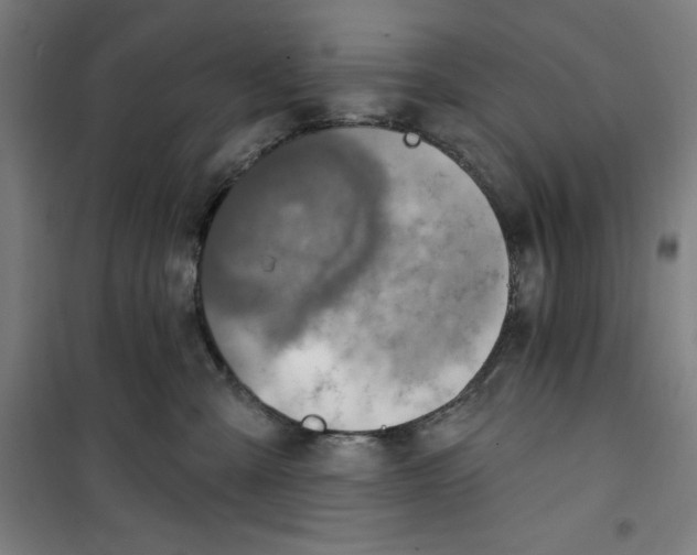 X0000100320427200807031215