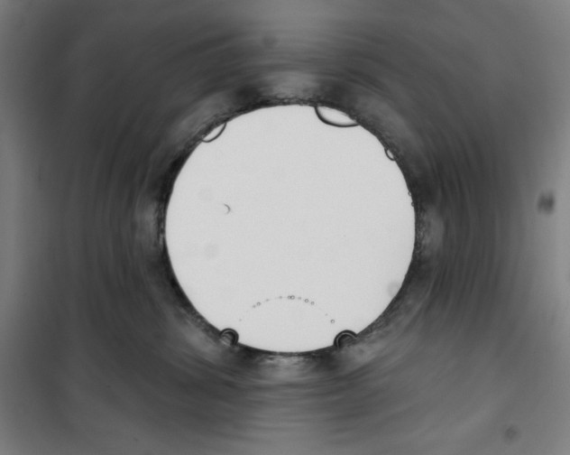 X0000100320428200807031215