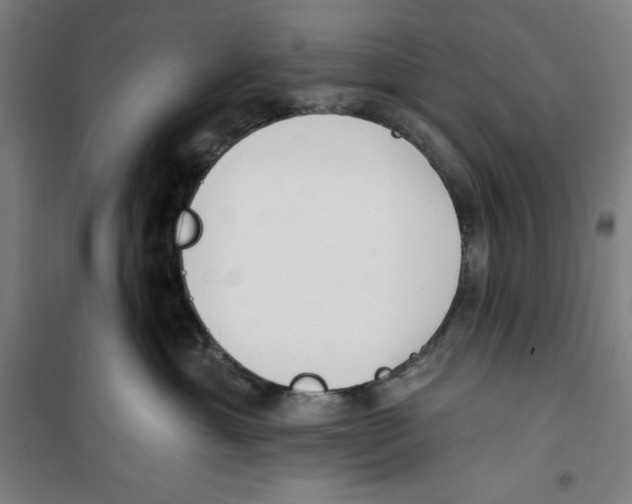 X0000100320429200807031215