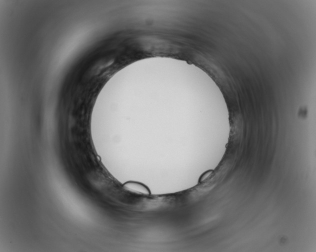 X0000100320430200807031215