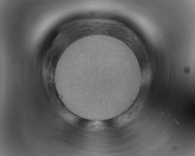 X0000100320431200807031215